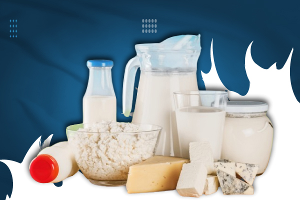 Dairy & Milk Products
