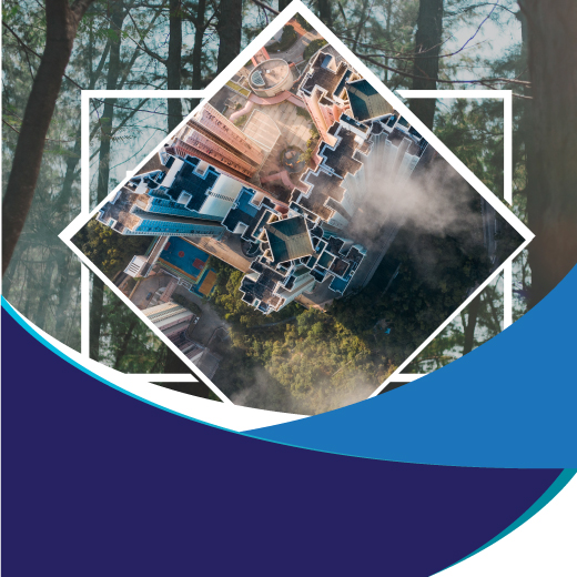 Forest Based Industry