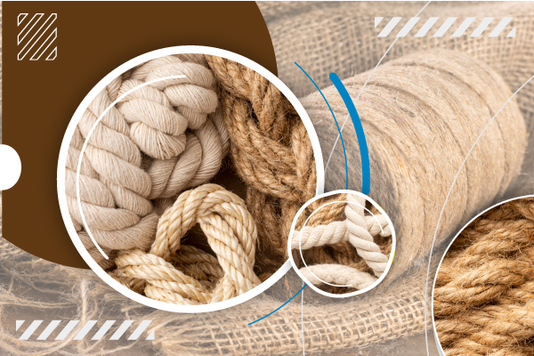 Coir Based Industry