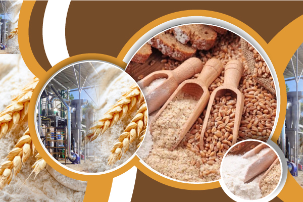 Grain Milling & Processing