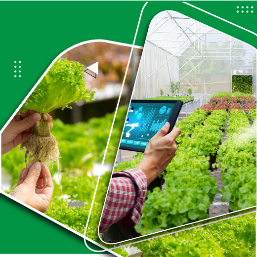 Horticulture Organic farming
