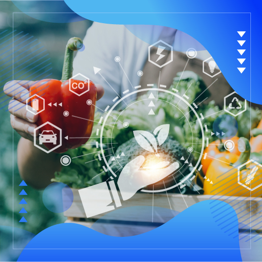 Agri Food Processing